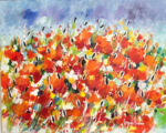Coquelicots